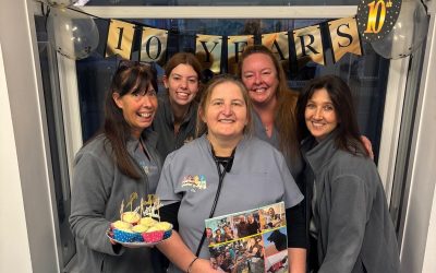 Celebrating 10 years at Blackwater Vets